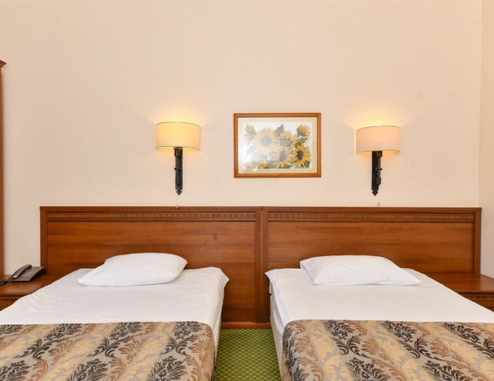 Стандарт/2 кровати - Комплекс отдыха «Завидово»