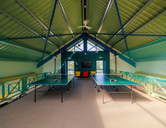 Настольный теннис - Комплекс отдыха «Завидово»